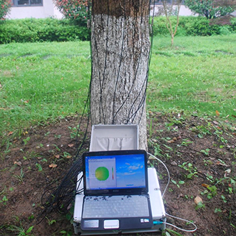 樹木無損檢測探傷儀 樹木無損檢測探傷儀