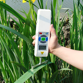 抗倒伏測(cè)定儀 抗倒伏測(cè)定儀