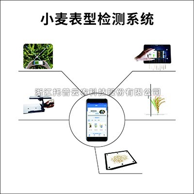 小麥表型檢測系統(tǒng)詳細介紹