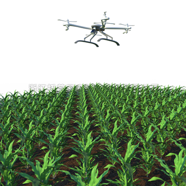 田間無(wú)人機(jī)式高通量植物表型采集分析平臺(tái)TP-GTL-AIR