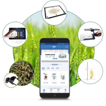 小麥表型檢測儀TPM-BX-1/TPM-BX-2