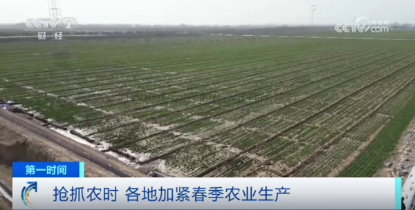 心系糧安、山田無阻、服務(wù)有恒|托普云農(nóng)2025年智能裝備巡檢服務(wù)全面啟動