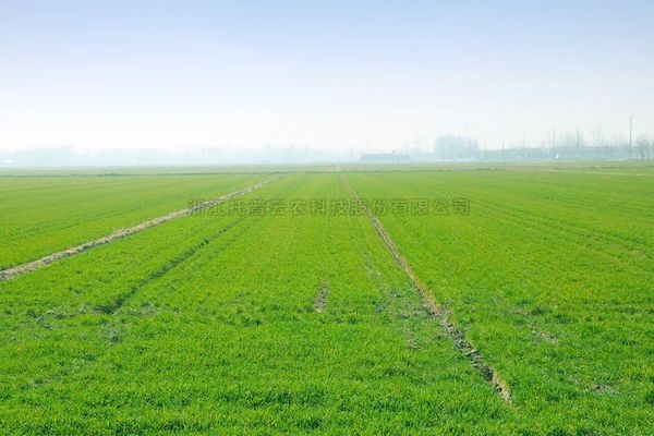 科技賦能春耕，托普云農(nóng)智慧農(nóng)情監(jiān)測站再獲央視關(guān)注