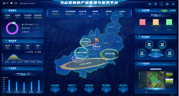 AI+農(nóng)業(yè) | 當(dāng)種子植入“數(shù)智芯片”，馬山縣打造制種基地新標(biāo)桿