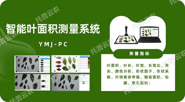 智能葉面積測量系統(tǒng)——秒級快速測葉片，多參數(shù)同步解析，云端數(shù)據(jù)好管理