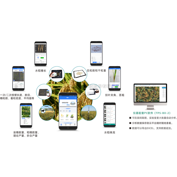 水稻表型檢測系統(tǒng)TPS-BX-2
