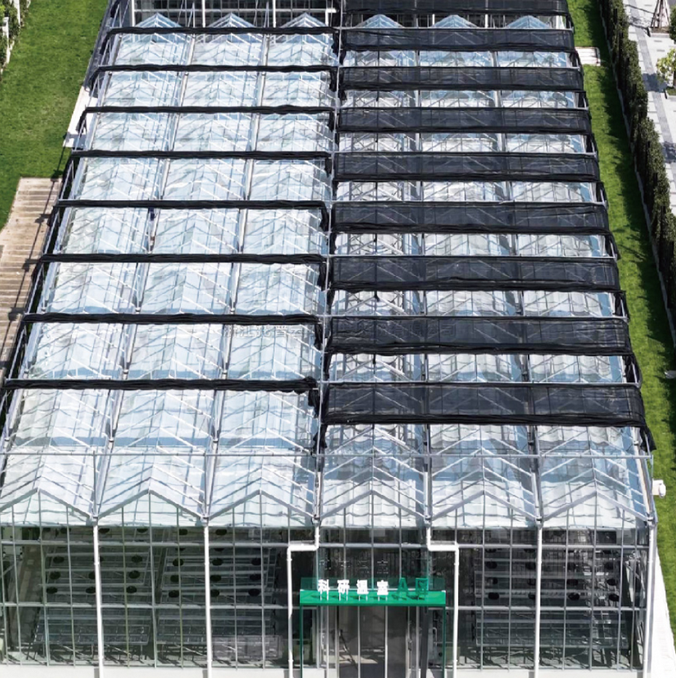 溫室型人工氣候室/