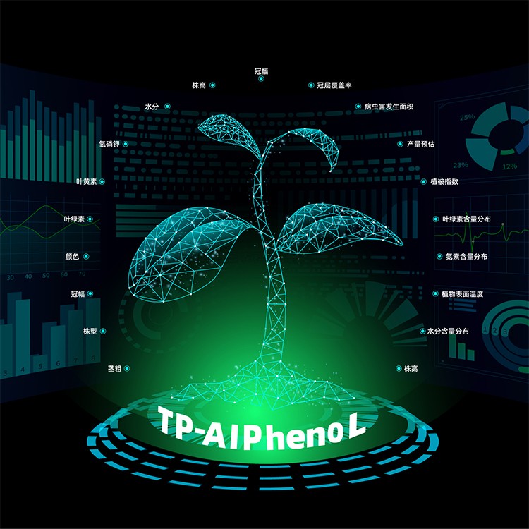 植物表型自動化分析軟件TP-AI Pheno L