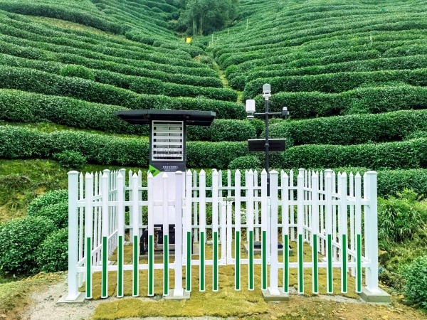 托普云農(nóng)發(fā)布“問稷茶數(shù)”智能體，賦能茶產(chǎn)業(yè)數(shù)智升級