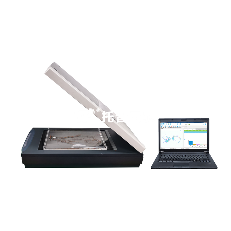 植物根系分析儀GXY-A