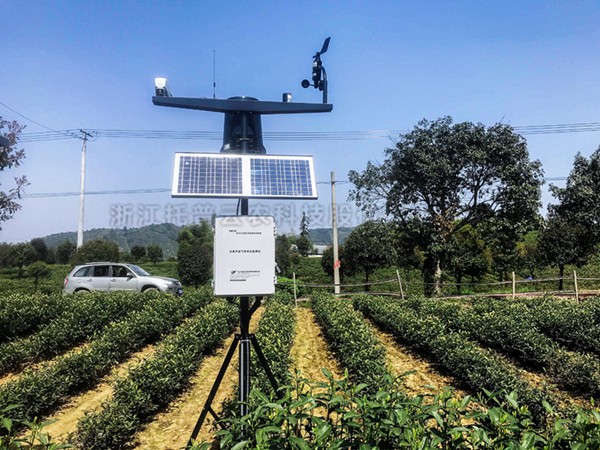 茶園氣候采集系統(tǒng) 茶園氣候采集系統(tǒng)