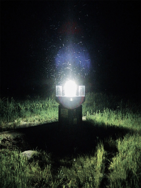 科技尖兵，夜燈長明