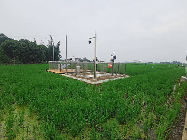 1629958967222089.jpg 圖片1.jpg