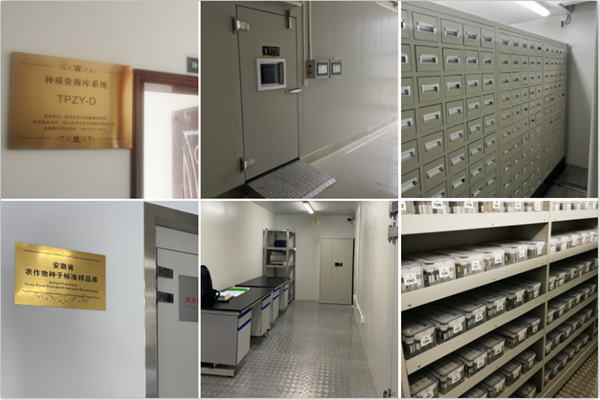 1650244415501858.png 托普云農(nóng)種質(zhì)資源庫(kù)案例.png