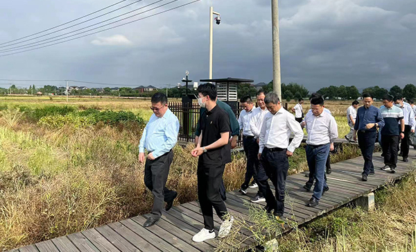 1653541921838970.jpg 3.jpg