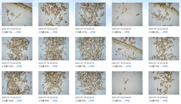 1664351446543711.png 18_副本.png