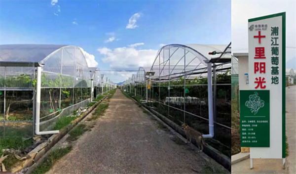 金華浦江“超級(jí)農(nóng)場” 金華浦江“超級(jí)農(nóng)場”