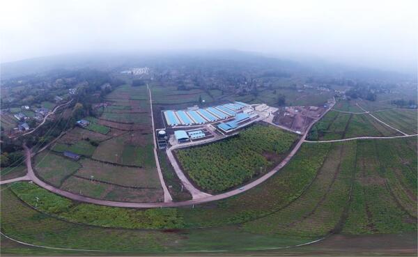 扎根四川，托普云農(nóng)為農(nóng)業(yè)數(shù)字化發(fā)展服務(wù)