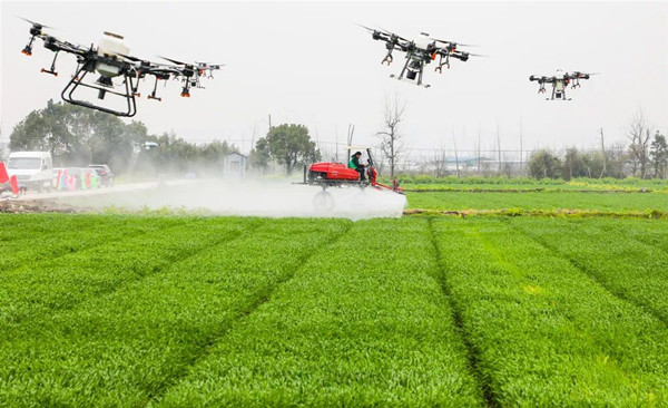 寧波海曙古林?jǐn)?shù)字大田 寧波海曙古林?jǐn)?shù)字大田