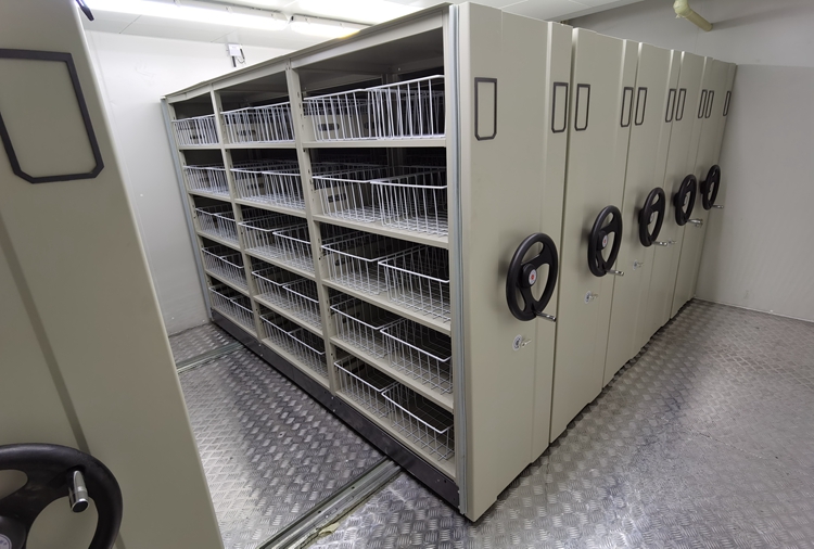 種質(zhì)庫(kù) 種質(zhì)庫(kù)