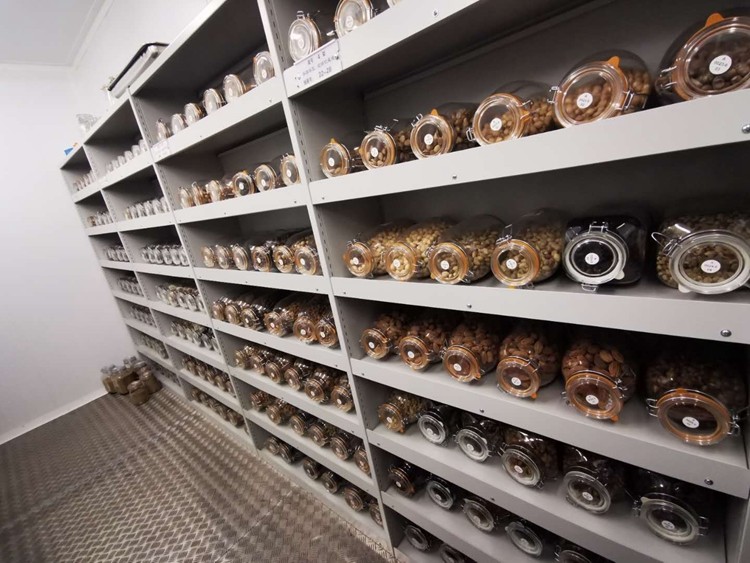 種質(zhì)庫(kù) 種質(zhì)庫(kù)