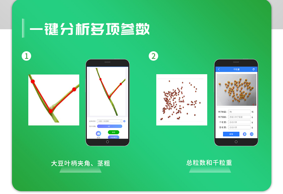 大豆表型檢測(cè)儀