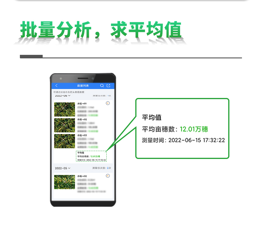 水稻畝穗數(shù)測(cè)量系統(tǒng) 水稻畝穗數(shù)測(cè)量系統(tǒng)