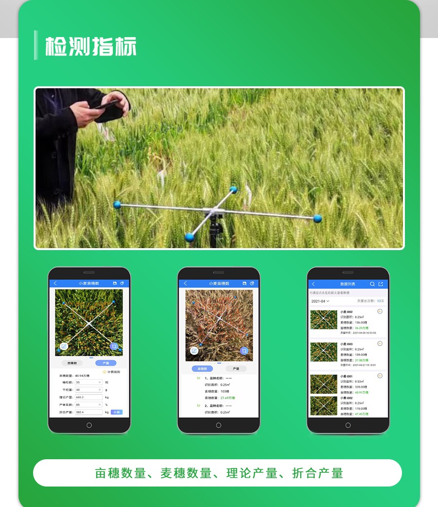小麥畝穗數(shù)測量儀 小麥畝穗數(shù)測量儀