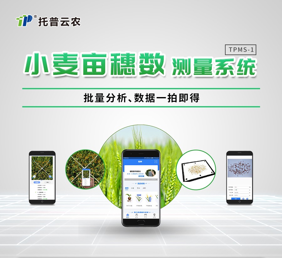 小麥畝穗數(shù)測量儀 小麥畝穗數(shù)測量儀