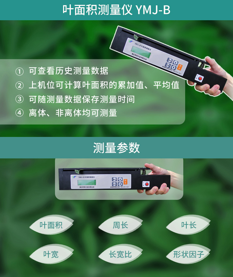 1680513206349717.jpg 1.jpg