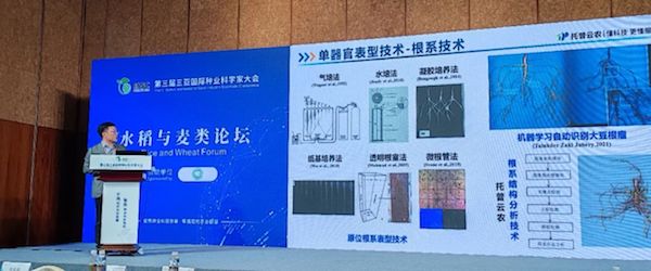 1704702250332233.jpeg 3.jpeg