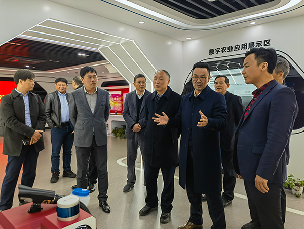 1710235663542902.jpg SEO1.jpg