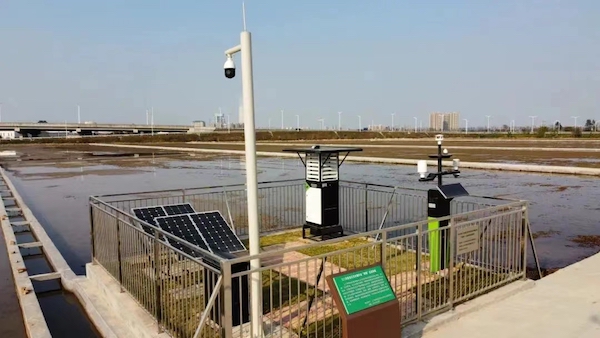 1711777022119811.jpg 江門市木江村高標(biāo)準(zhǔn)農(nóng)田.jpg