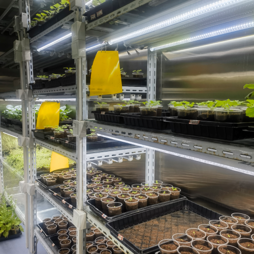 1712903661795845.png 案例1.png