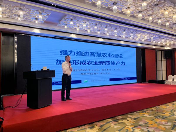 1714465246553102.jpg SEO (2).jpg