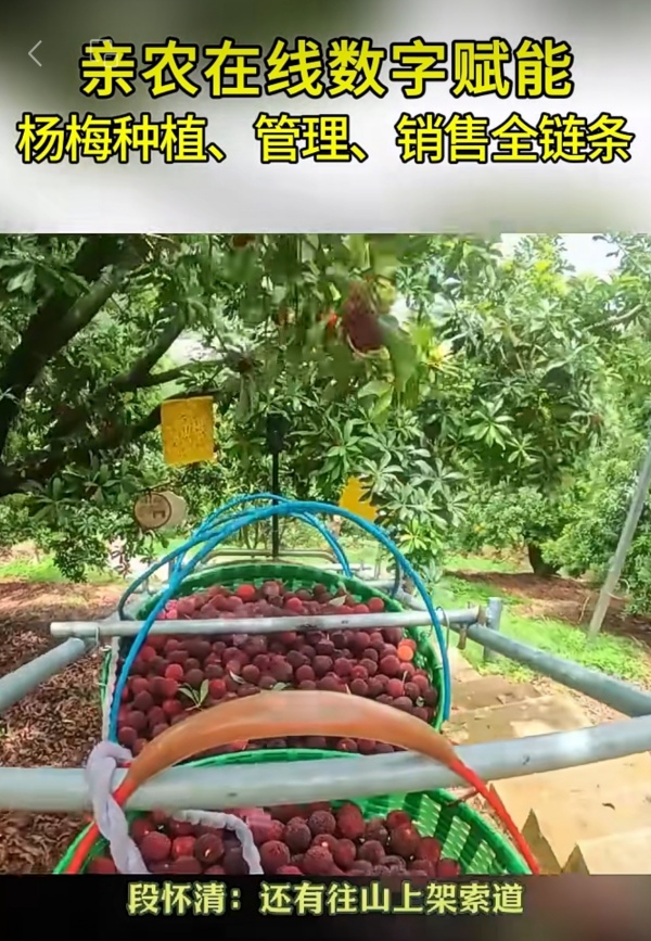 1718786165200946.jpg 3_副本.jpg