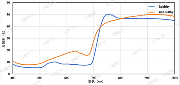 1722995322660540.jpg 高光譜植物數(shù)字采集分析系統(tǒng)-2.jpg