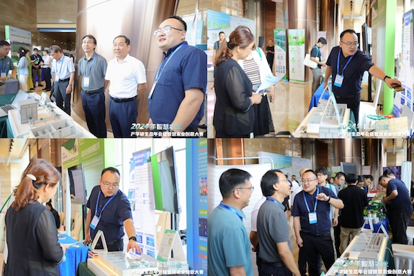 1723022516683751.jpg 2.jpg