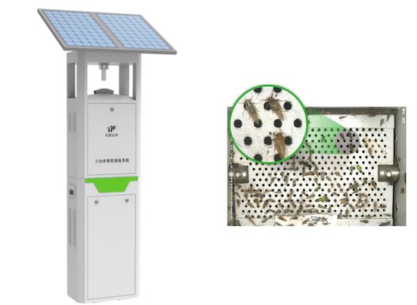 1723798499988133.jpeg 9.jpeg