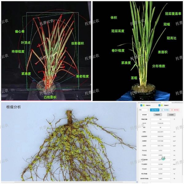 1723799020463838.jpeg 17.jpeg