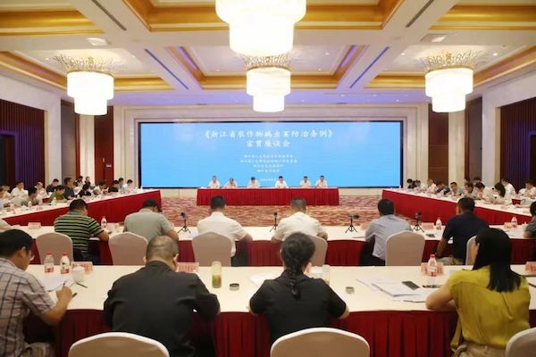 1724390882430093.jpeg 1.jpeg