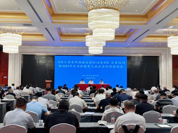 1724390916681971.jpeg 2.jpeg