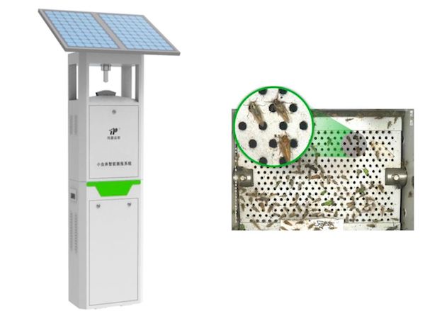 1724391110192088.jpeg 6.jpeg