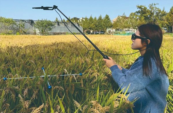 1729586327162865.jpeg 6.jpeg