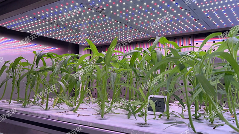 1745917641653478.png 圖片3.png