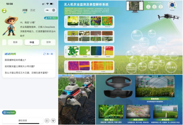 1749086346260366.png SEO圖5.png