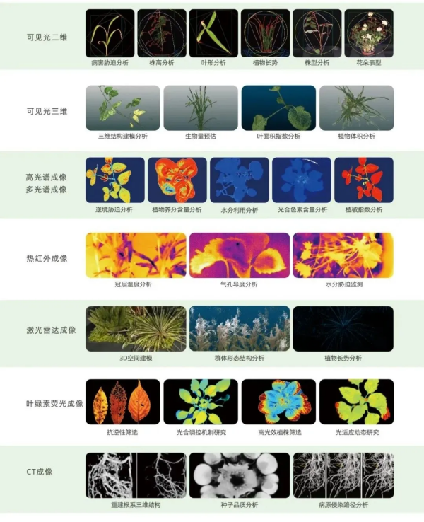 1754278315971336.png 6_副本.png