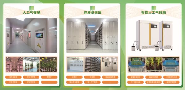 1755565181723184.png 人工智能氣候室_副本.png