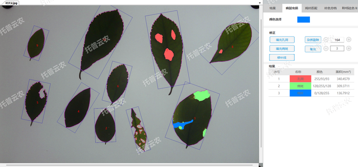 1757057565145267.png 病斑蟲損.png