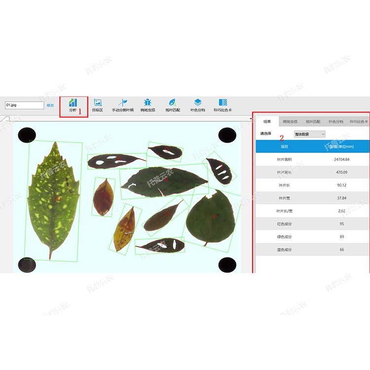 1757057692788653.png 葉面積分析系統(tǒng)界面圖.png